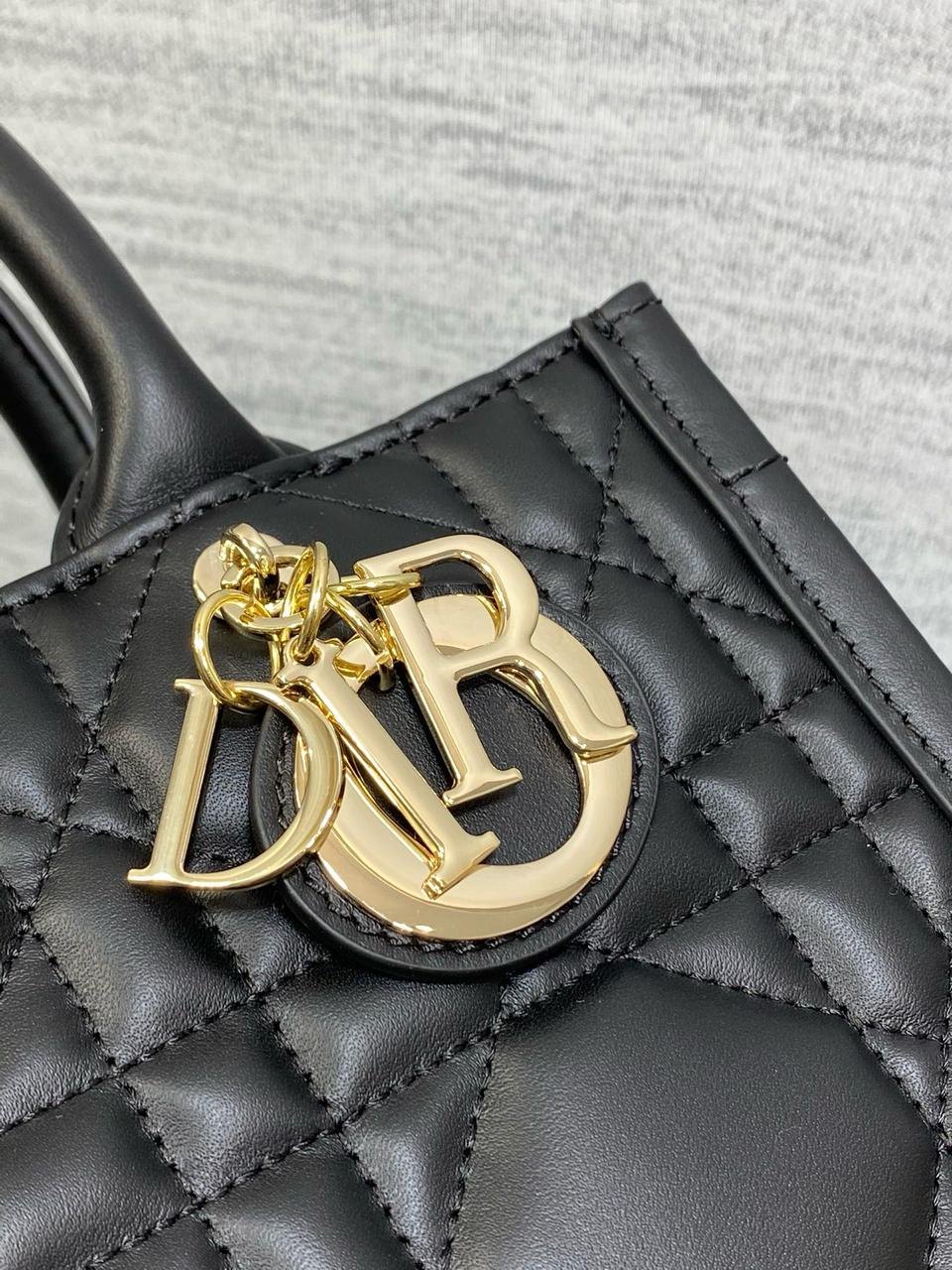 Small Dior Book Tote Bag