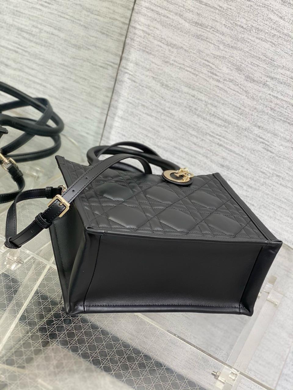Small Dior Book Tote Bag