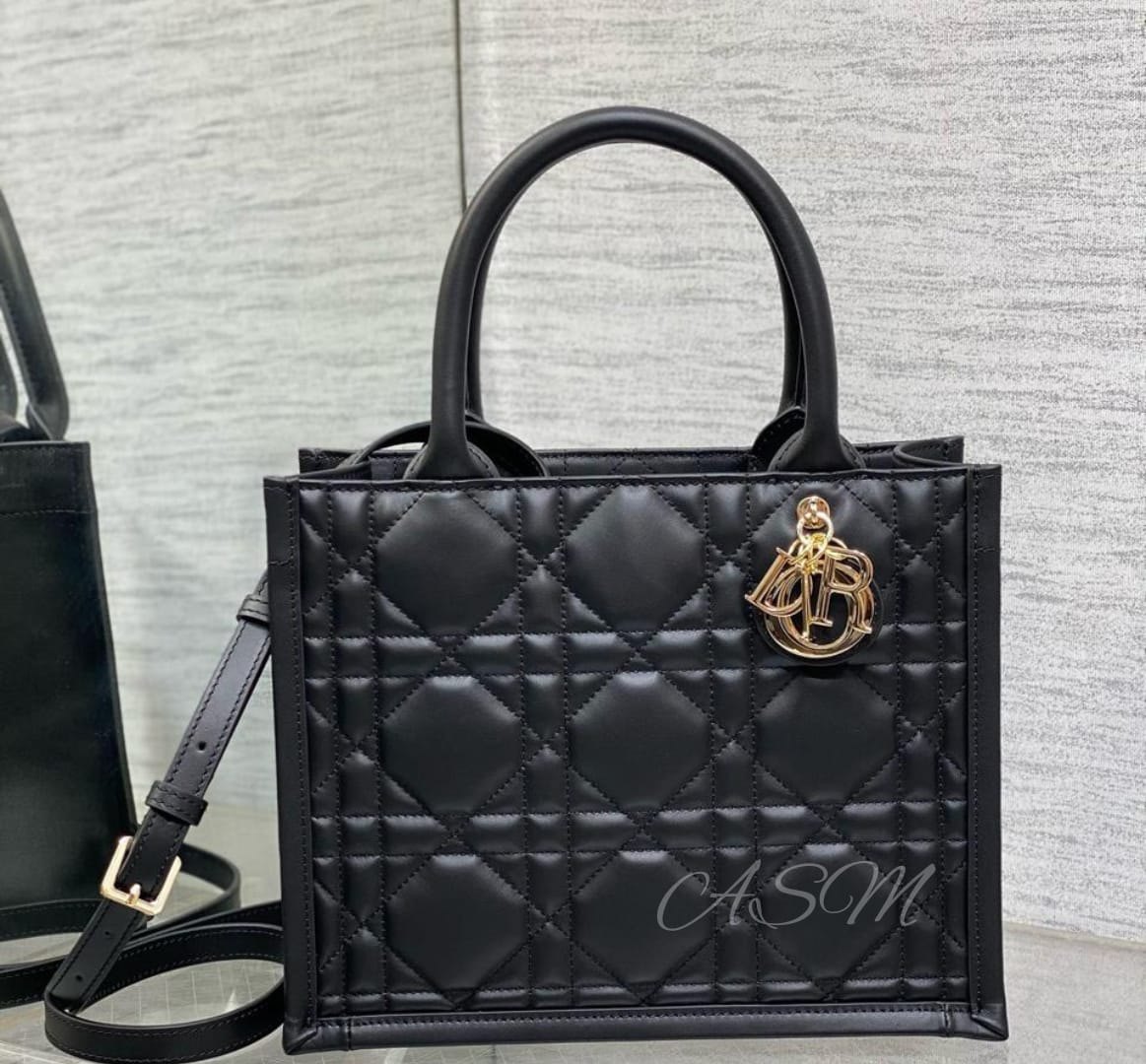 Small Dior Book Tote Bag