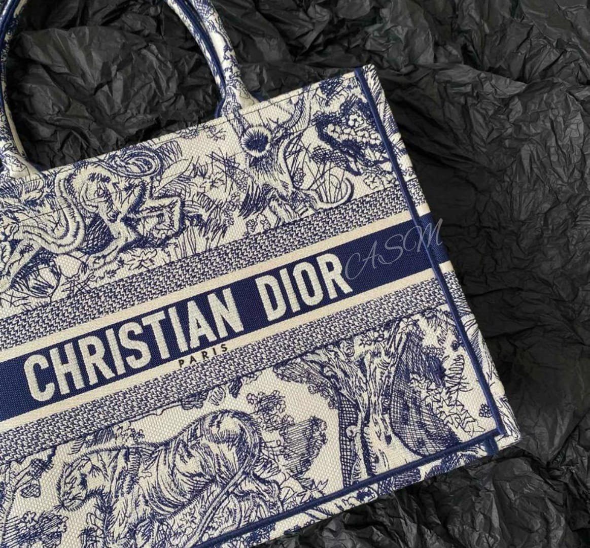 Dior Book Tote