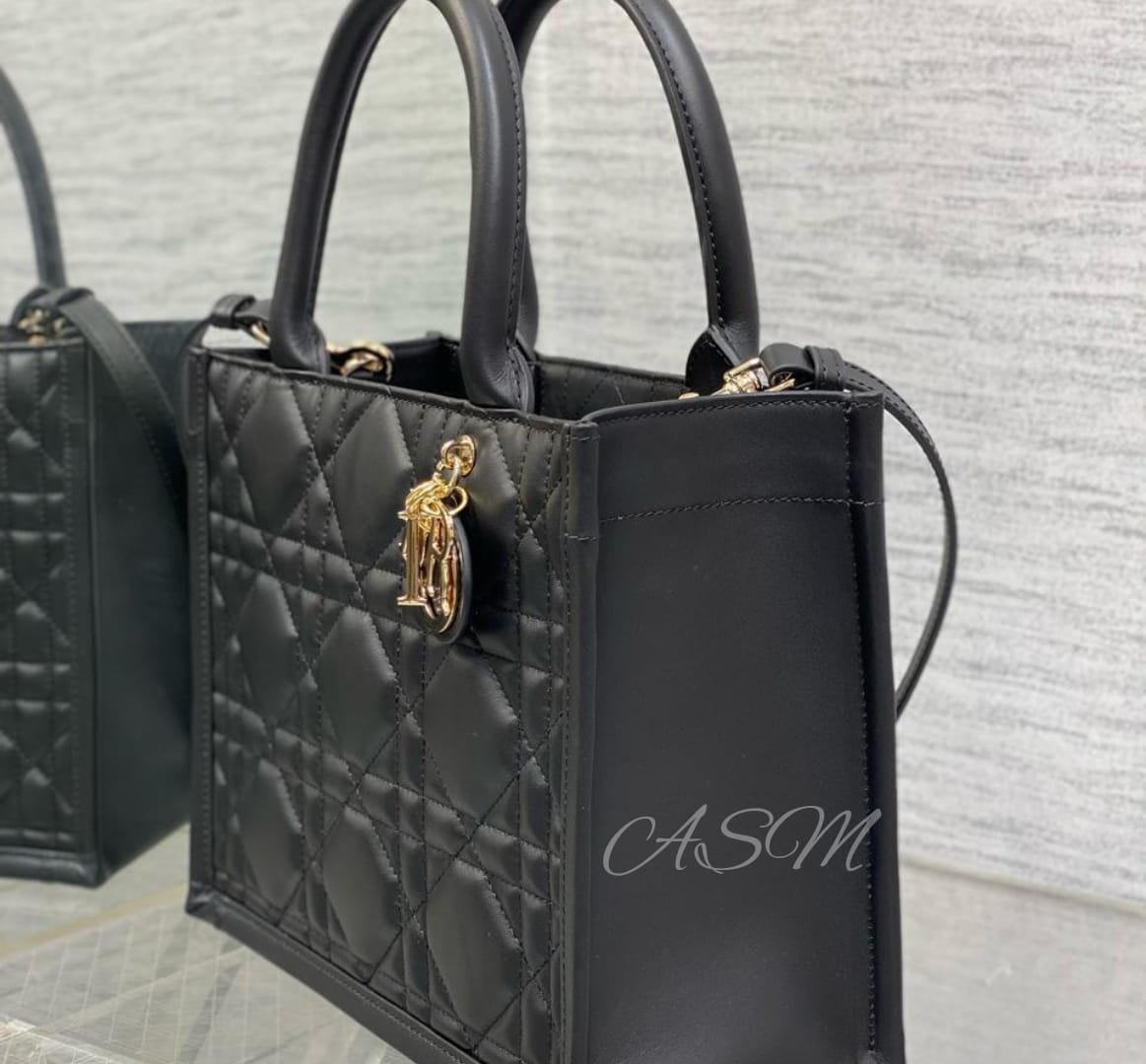 Small Dior Book Tote Bag