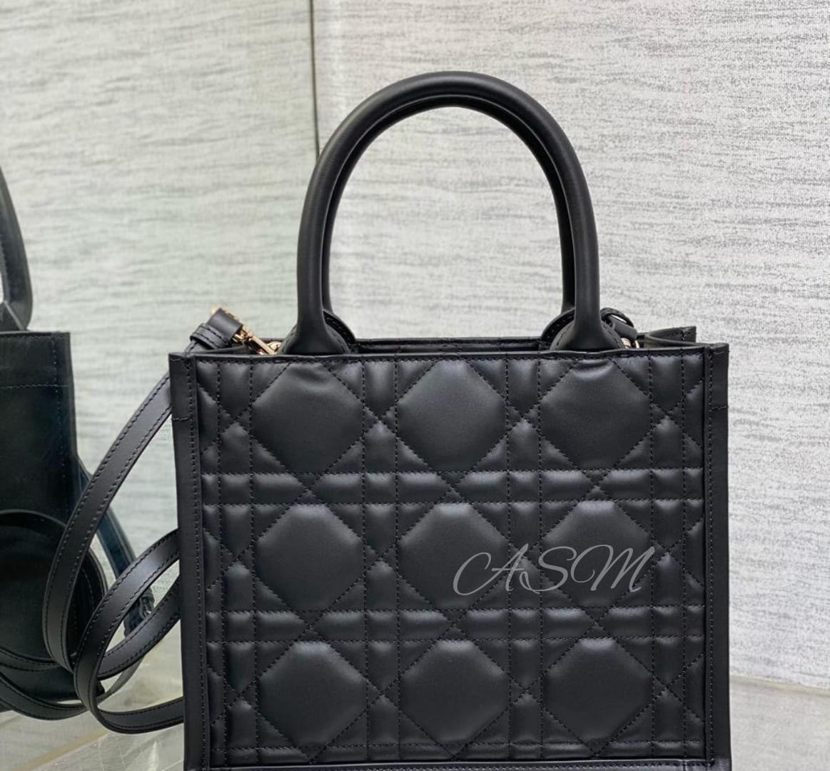 Small Dior Book Tote Bag