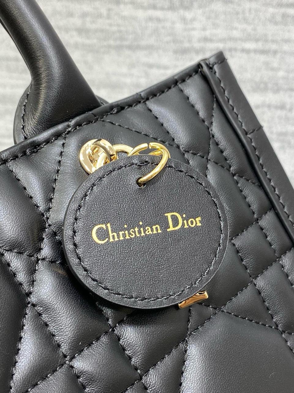 Small Dior Book Tote Bag