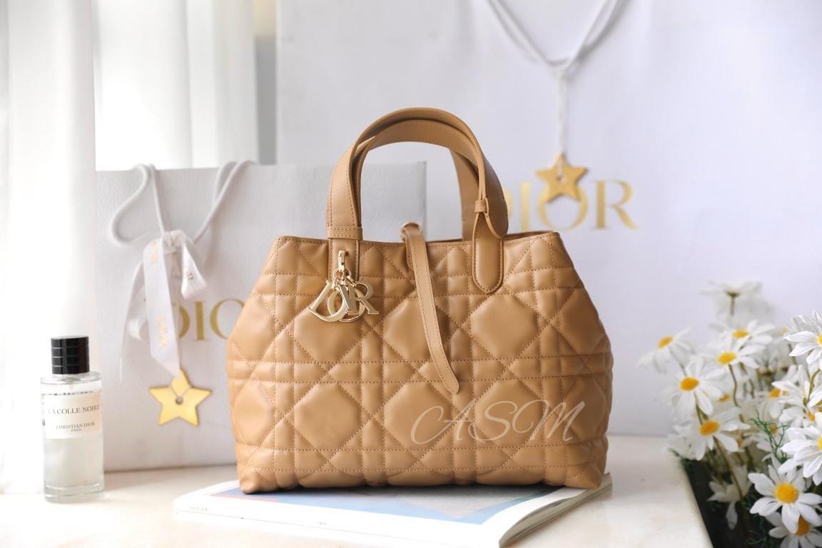 Medium Dior Toujours Bag