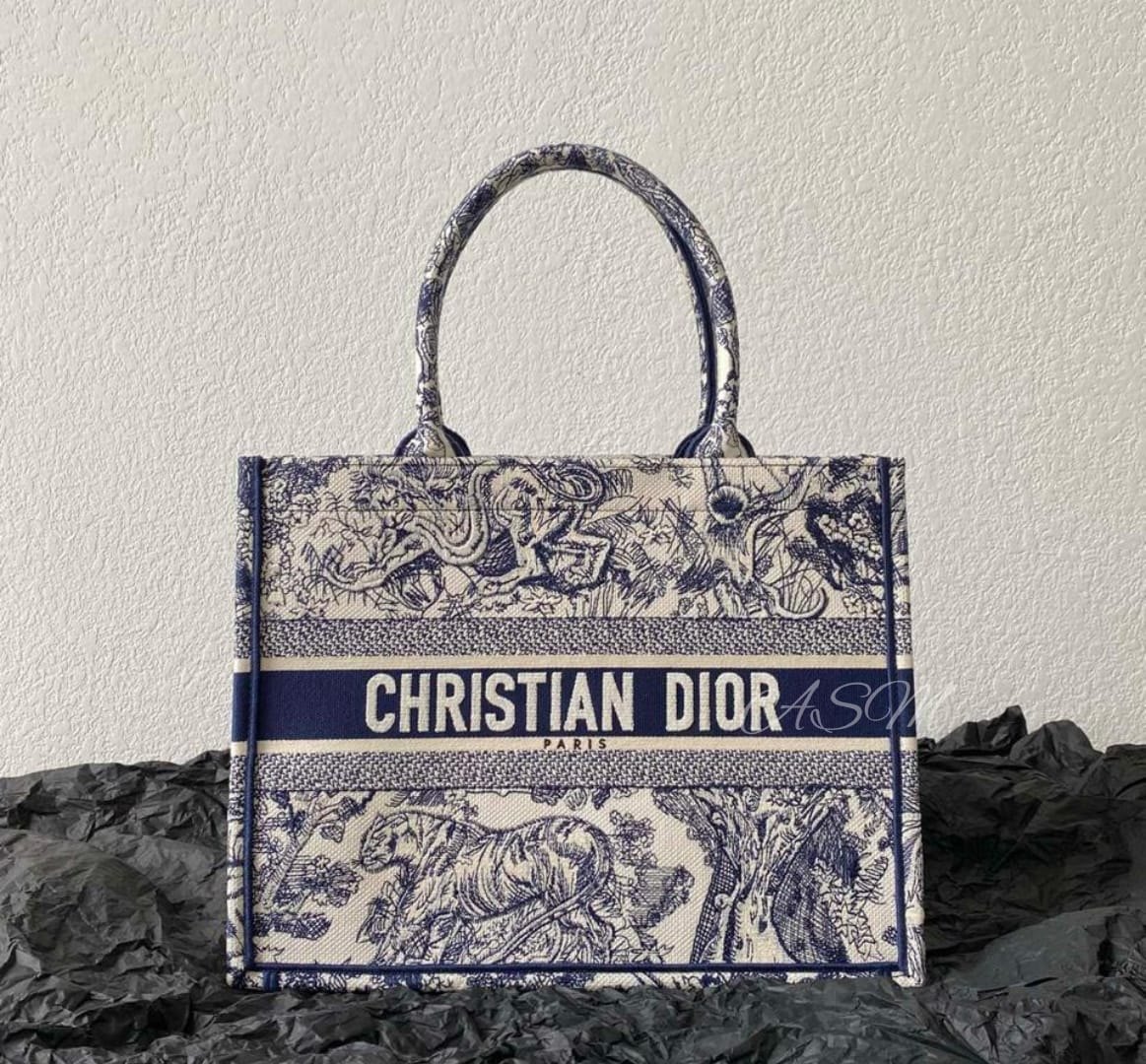Dior Book Tote