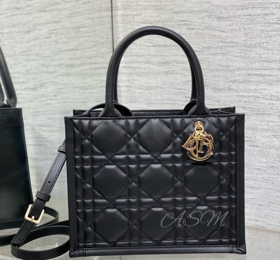 Small Dior Book Tote Bag
